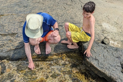 Checking Out the Tide Pools