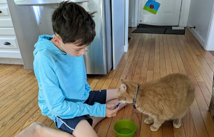 Good Bye Snack for His Kitty