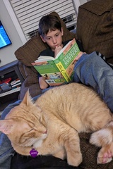Reading With Velcro Kitty