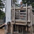 Sean Hanging at the Playground.jpg
