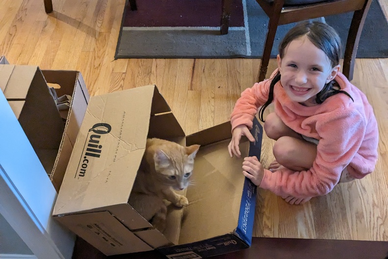 Rescuing The Cat Who Trapped Himself in a Box
