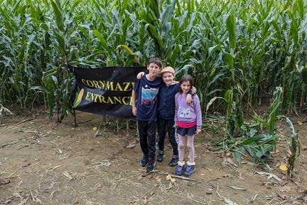 Lets Go Get Lost in the Corn Maze