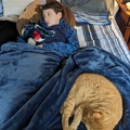 Sick Boy and His Comfort Kitties.jpg