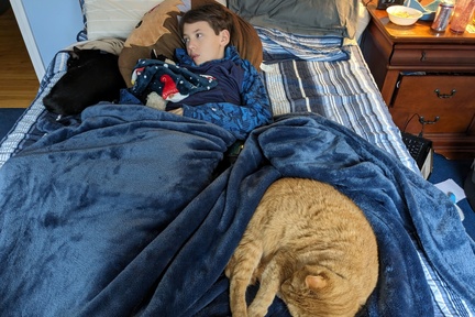 Sick Boy and His Comfort Kitties