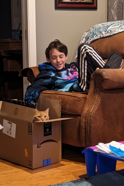 Petting the Cat in the Box